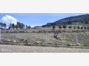 Terreno en Venta en Los Arenales (San Juan Dehedó) Amealco de Bonfil