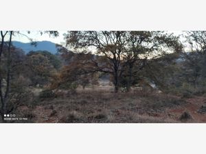 Terreno en Venta en Rincón de la Florida Amealco de Bonfil