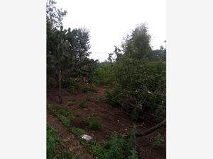 Terreno en Venta en San Miguel Dehetí Amealco de Bonfil