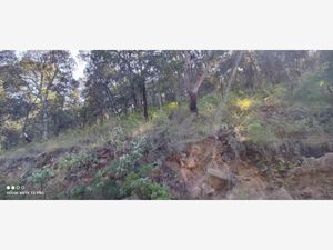 Terreno en Venta en Chitejé de la Cruz Amealco de Bonfil