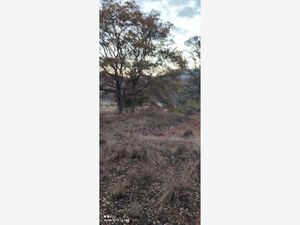 Terreno en Venta en Rincón de la Florida Amealco de Bonfil