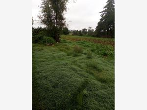 Terreno en Venta en San Miguel Dehetí Amealco de Bonfil