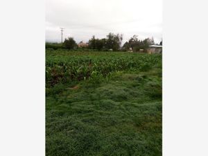 Terreno en Venta en San Miguel Dehetí Amealco de Bonfil