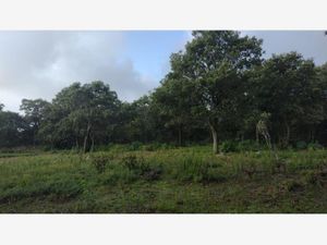 Terreno en Venta en Laguna de Servín Amealco de Bonfil