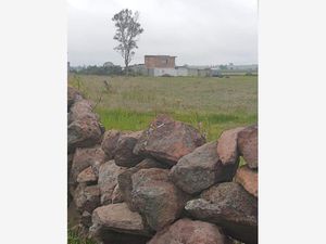 Terreno en Venta en El Pino Amealco de Bonfil