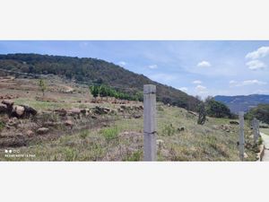 Terreno en Venta en Los Arenales (San Juan Dehedó) Amealco de Bonfil