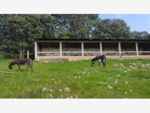 Terreno en Venta en Laguna de Servín Amealco de Bonfil