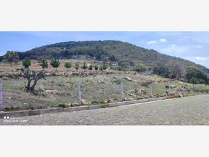 Terreno en Venta en Los Arenales (San Juan Dehedó) Amealco de Bonfil