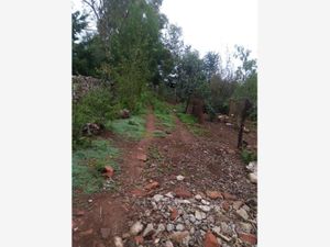 Terreno en Venta en San Miguel Dehetí Amealco de Bonfil