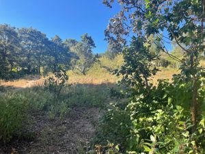 Terreno en Venta en Chitejé de la Cruz Amealco de Bonfil