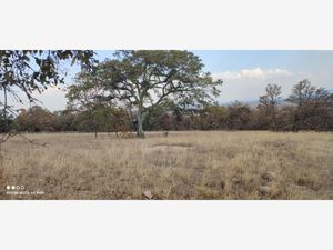 Terreno en Venta en Hacienda Blanca Amealco de Bonfil