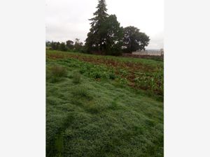 Terreno en Venta en San Miguel Dehetí Amealco de Bonfil