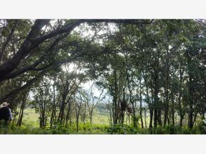 Terreno en Venta en Laguna de Servín Amealco de Bonfil