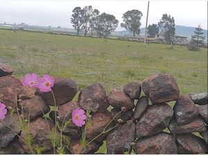 Terreno en Venta en El Pino Amealco de Bonfil