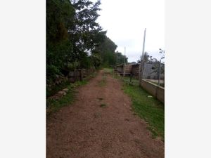 Terreno en Venta en San Miguel Dehetí Amealco de Bonfil