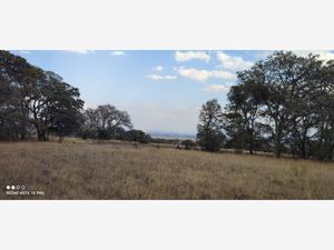 Terreno en Venta en Hacienda Blanca Amealco de Bonfil