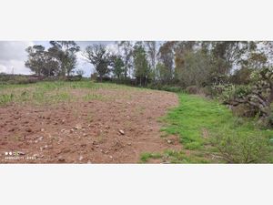 Terreno en Venta en San Miguel Dehetí Amealco de Bonfil