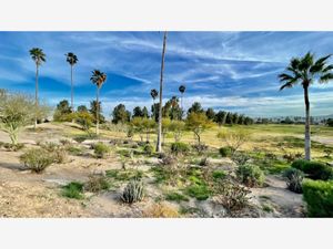 Terreno en Venta en Montebello Torreón