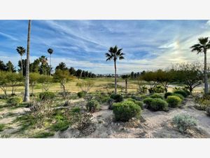 Terreno en Venta en Montebello Torreón