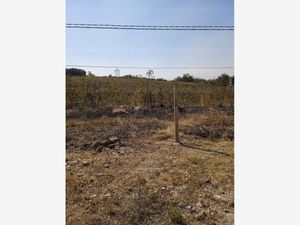 Terreno en Venta en Pachaguillo Tonalá