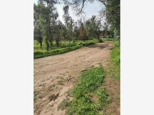 Terreno en Venta en San Martín de las Flores de Abajo San Pedro Tlaquepaque