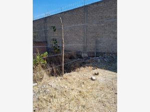 Terreno en Venta en Pachaguillo Tonalá