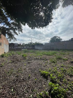 TERRENO EN RENTA BERRIOZABAL CHIAPAS