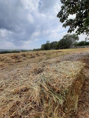 Venta de Terreno  por Torre Chiapas