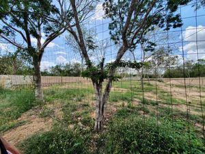 SE VENDE TERRENO EN CHOLUL AL NORTE DE MERIDA,YUC.