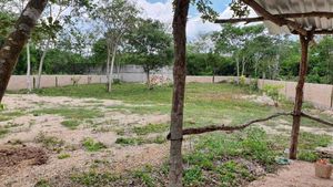 SE VENDE TERRENO EN CHOLUL AL NORTE DE MERIDA,YUC.