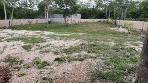 SE VENDE TERRENO EN CHOLUL AL NORTE DE MERIDA,YUC.