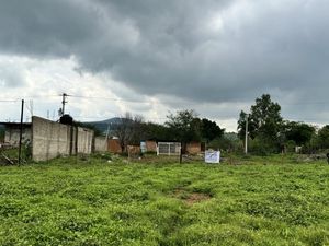 Terreno Juanacatlán en VENTA