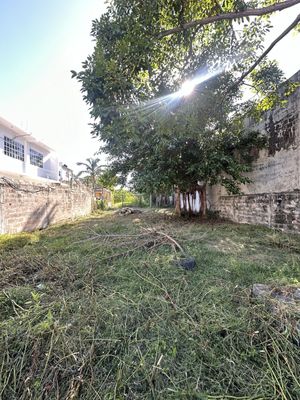 TERRENO EN VENTA EN COLONIA TECOLUTLA