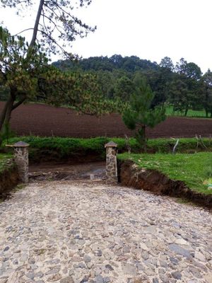 Terrenos en Venta en Cerca de Tapalpa (Juanacatlán)
