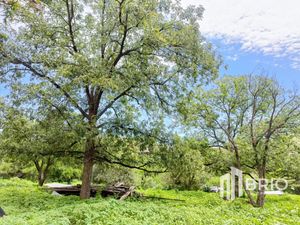 Terreno en VENTA en Santa María del Oro