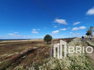 Terreno tipo campestre en Venta en El Pino Durango