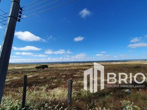 Terreno tipo campestre en Venta en El Pino Durango