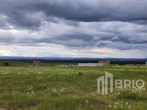 Terreno tipo campestre en Venta en El Pino Durango