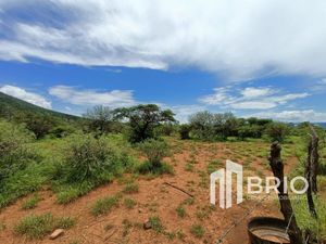 Terreno en VENTA en Santa María del Oro