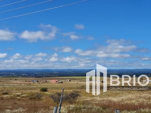 Terreno tipo campestre en Venta en El Pino Durango