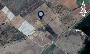 Terreno Rústico en venta  por carretera libre Dgo- Torreón