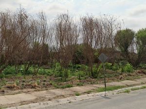 Terreno de 18.66 hcts. en Pesquería, N.L.