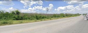 Terreno de 16 hcts. en Cadereyta, N.L. Carretera a Reynosa