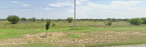 Terreno de 266 hcts. en Pesquería, N.L. Carretera a Pesquería.