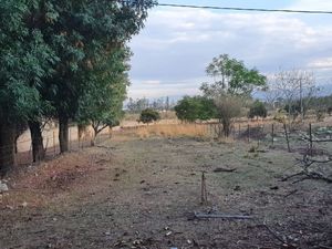 Terreno en Venta en Tesistán - Villa Amparo 945