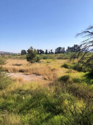 Terreno Industrial en Venta en El Salto - Camino a San Jose del Castillo