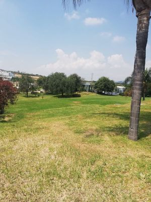 Terreno en Venta en Monteverde - Senderos de Monteverde 84