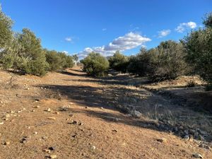 TERRENO EN VENTA EN VALLE DE GUADALUPE ENSENADA