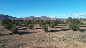 TERRENO EN VENTA EN VALLE DE GUADALUPE ENSENADA