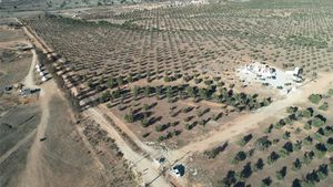 TERRENO EN VENTA EN VALLE DE GUADALUPE ENSENADA